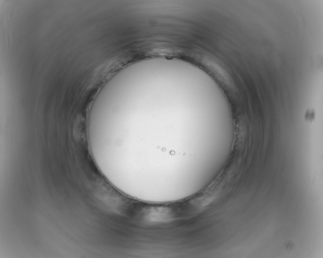 X0000092020361200709061558