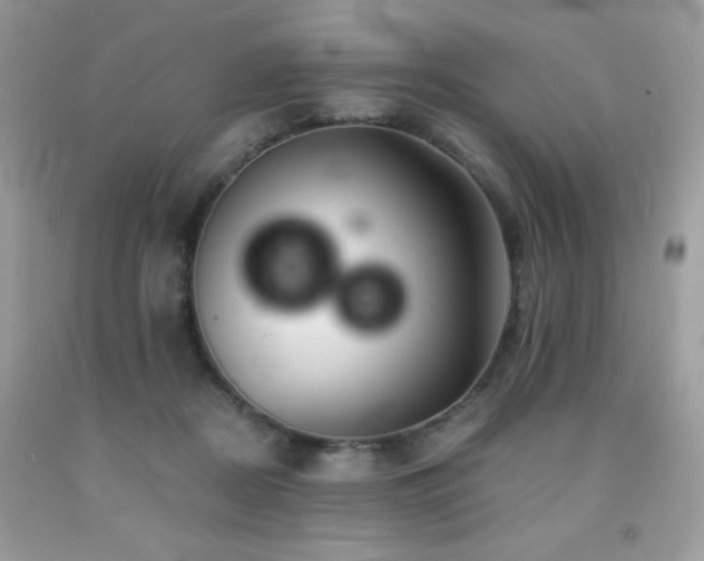 X0000092020362200709061558