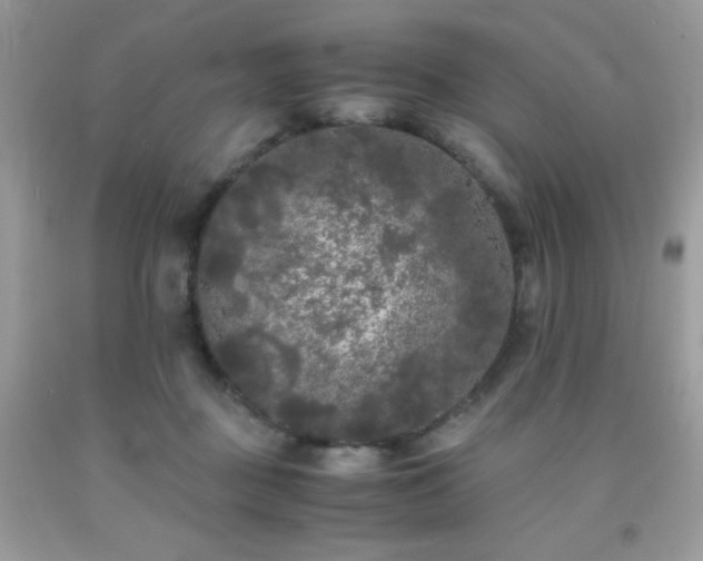 X0000092020363200709061558