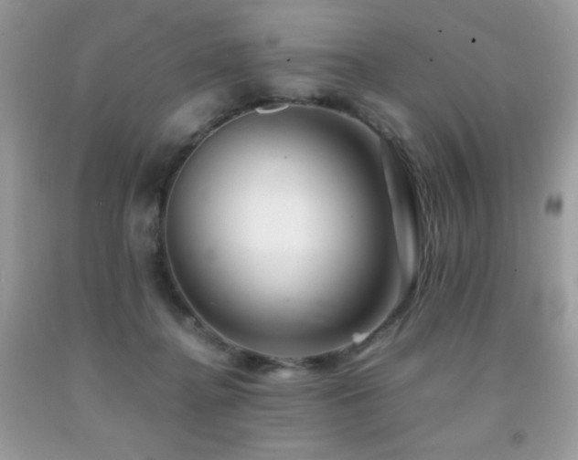 X0000092020364200709061558