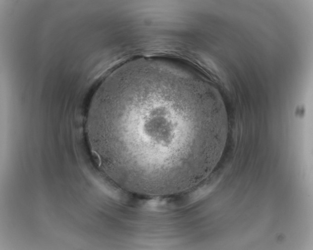 X0000092020366200709061558