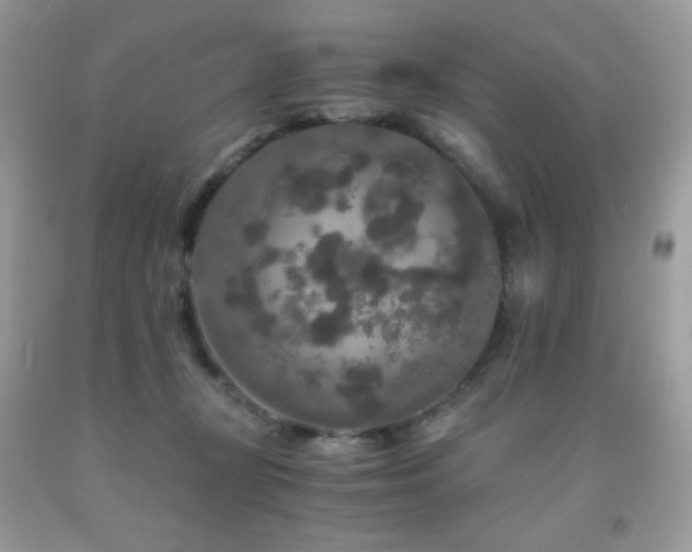 X0000092020367200709061558