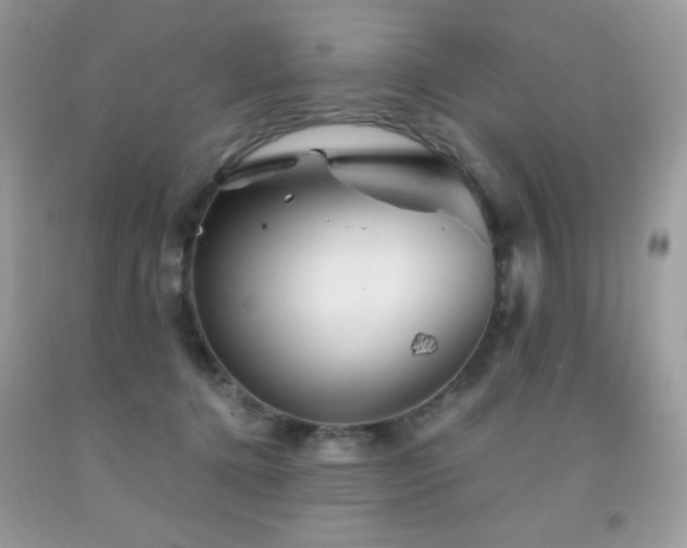X0000092020368200709061558