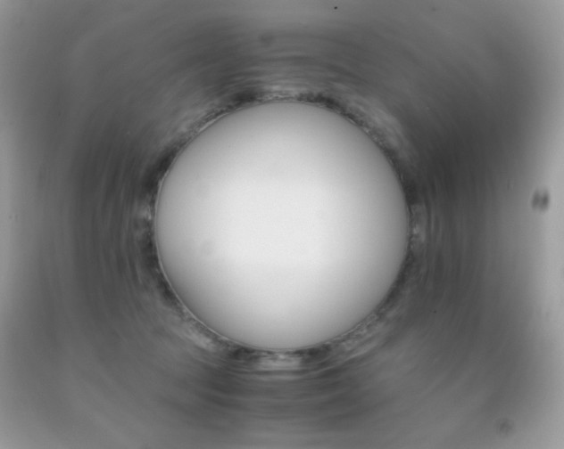 X0000092020369200709061558