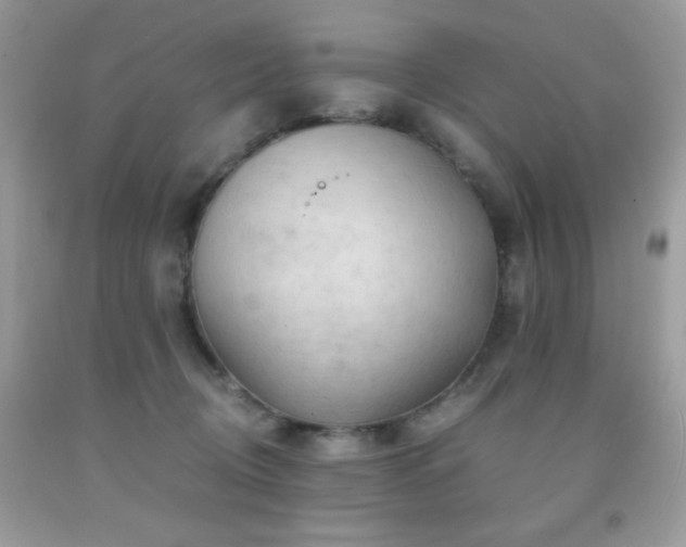 X0000092020370200709061558