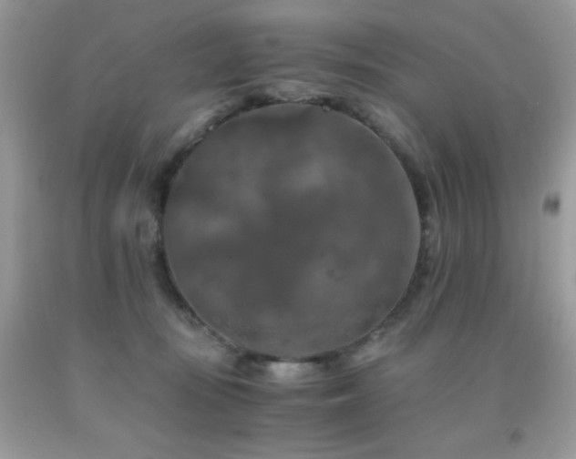 X0000092020371200709061558