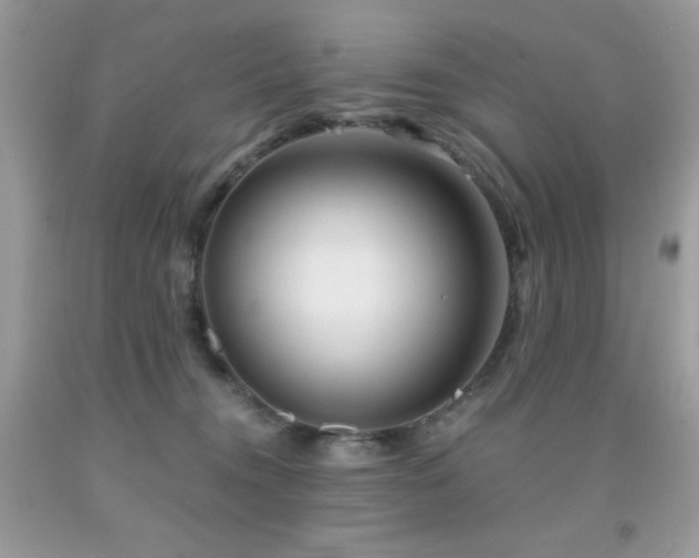 X0000092020372200709061558