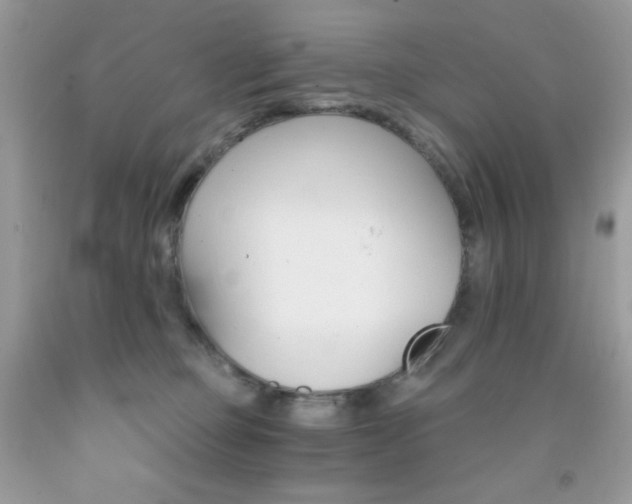 X0000092020373200709061558