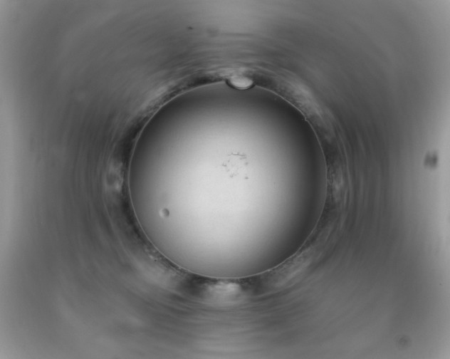 X0000092020374200709061558
