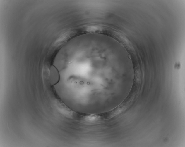 X0000092020375200709061558