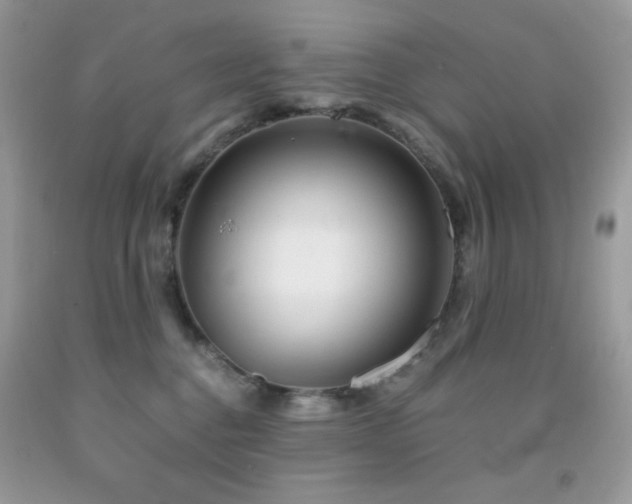 X0000092020376200709061558