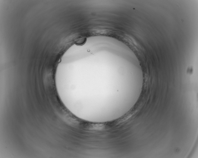X0000092020377200709061558