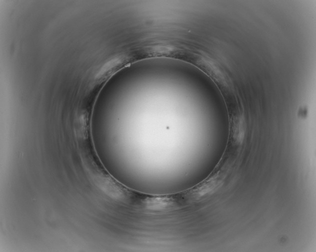 X0000092020378200709061558