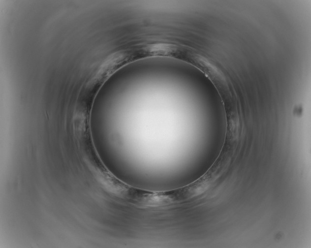 X0000092020379200709061558