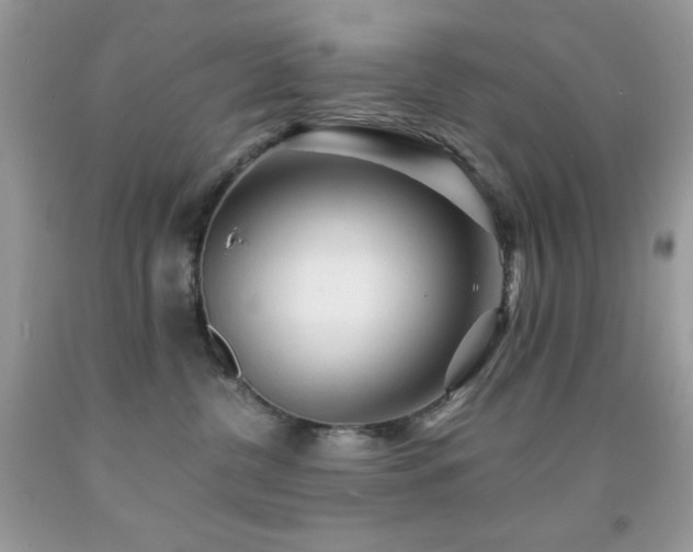 X0000092020380200709061558