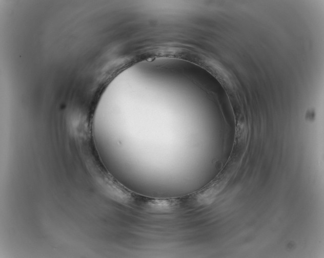 X0000092020381200709061558