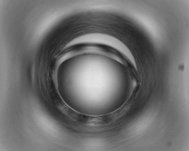 X0000092020382200709061558