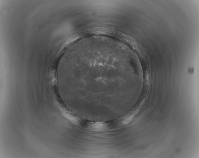 X0000092020383200709061558