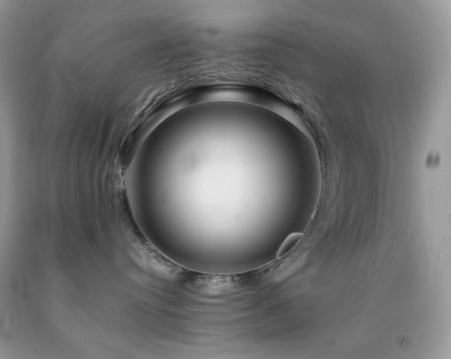 X0000092020384200709061558