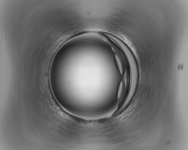 X0000092020385200709061558