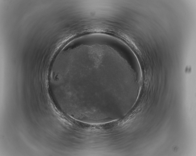 X0000092020386200709061558