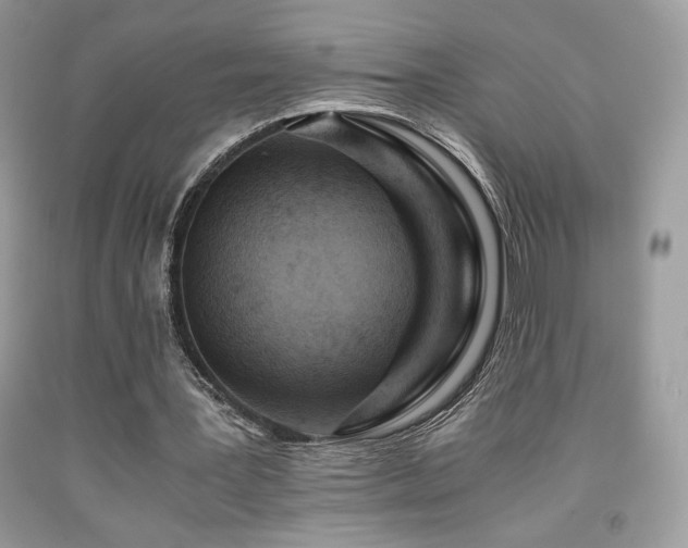 X0000092020387200709061558