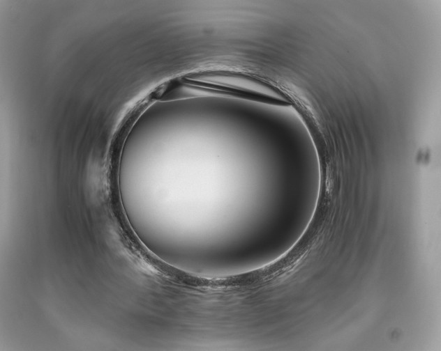 X0000092020388200709061558