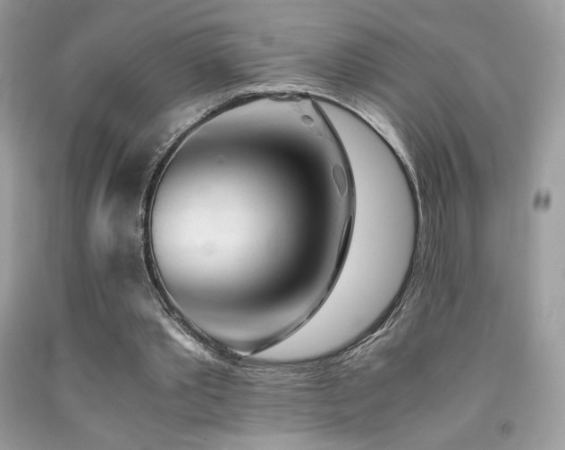 X0000092020389200709061558