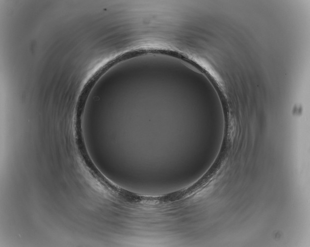 X0000092020391200709061558