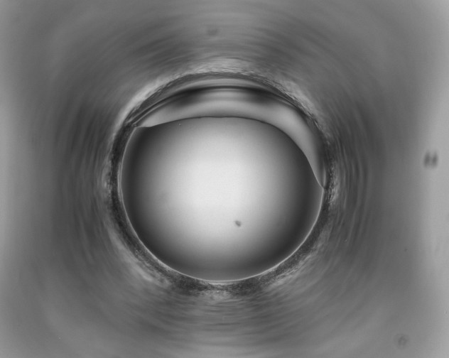 X0000092020392200709061558