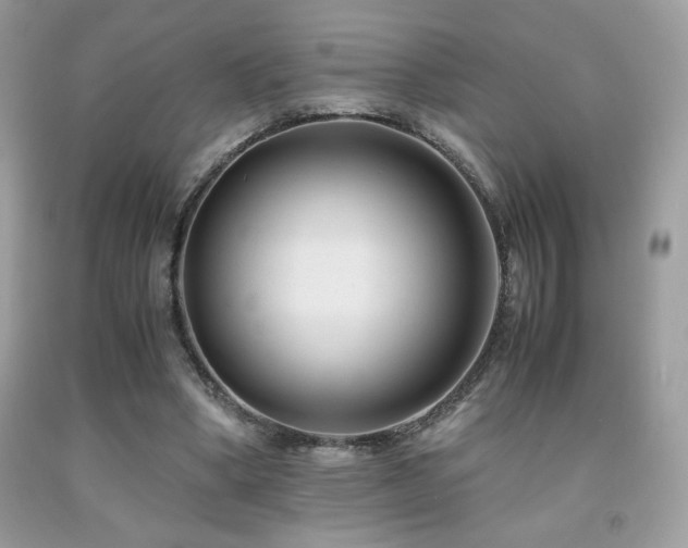 X0000092020394200709061558