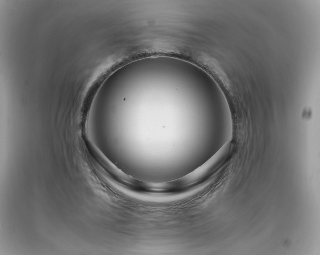 X0000092020395200709061558