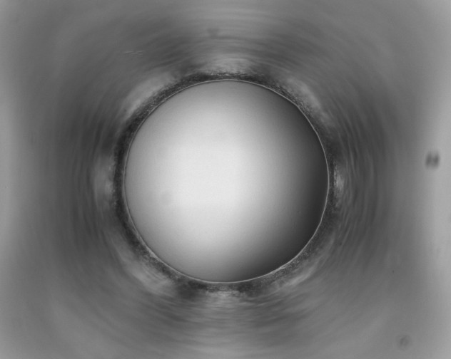 X0000092020396200709061558
