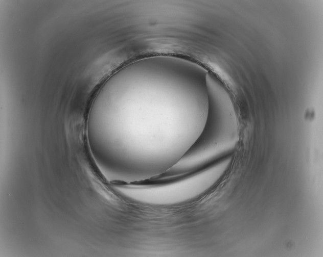 X0000092020397200709061558
