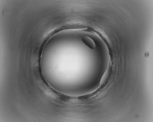 X0000092020399200709061558
