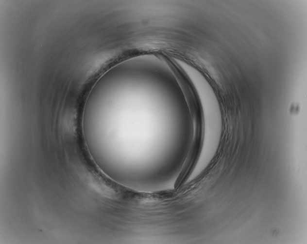 X0000092020400200709061558