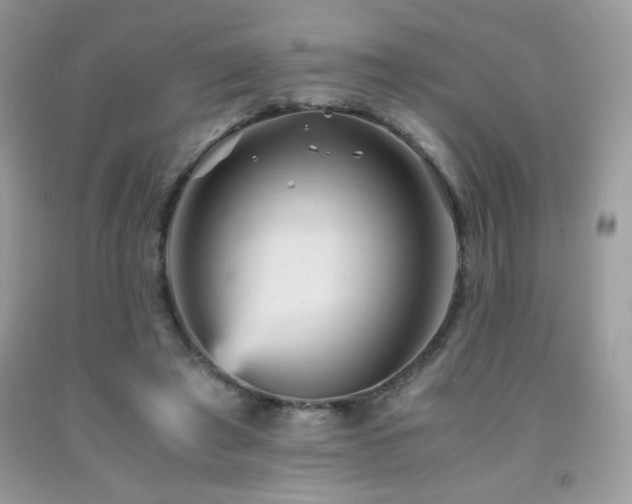 X0000092020401200709061558