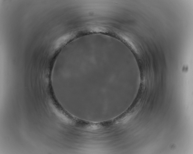 X0000092020402200709061557