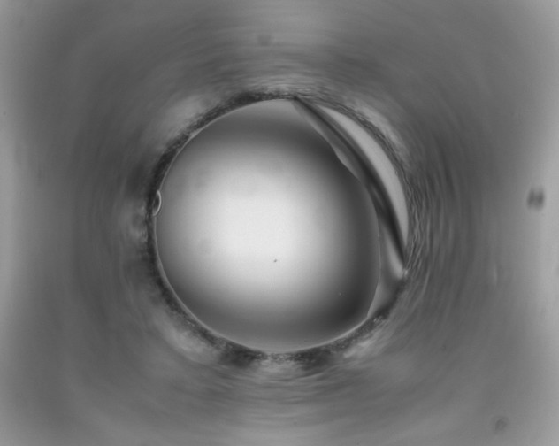 X0000092020403200709061557
