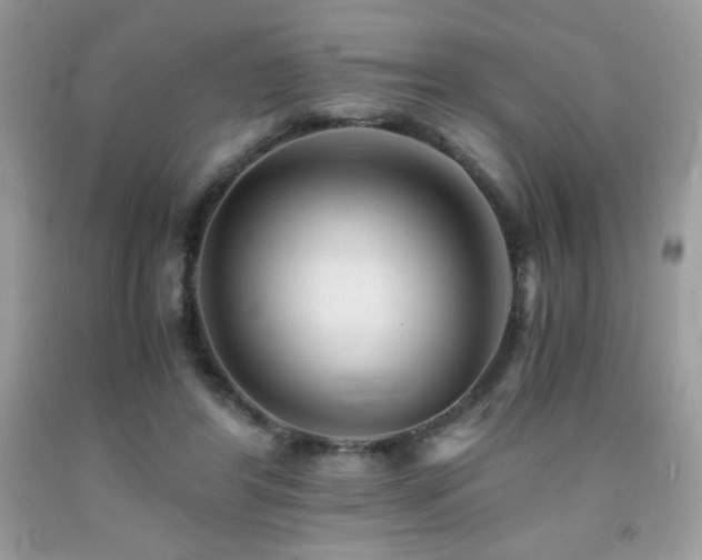X0000092020404200709061557