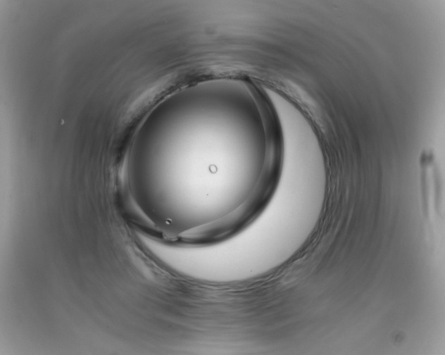 X0000092020405200709061557