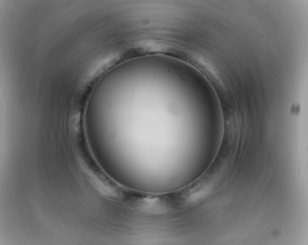 X0000092020406200709061557
