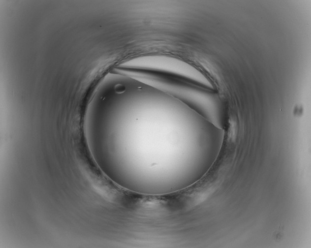 X0000092020407200709061557