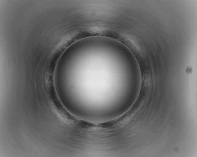 X0000092020408200709061557