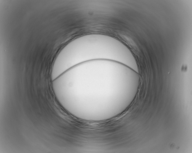 X0000092020409200709061557
