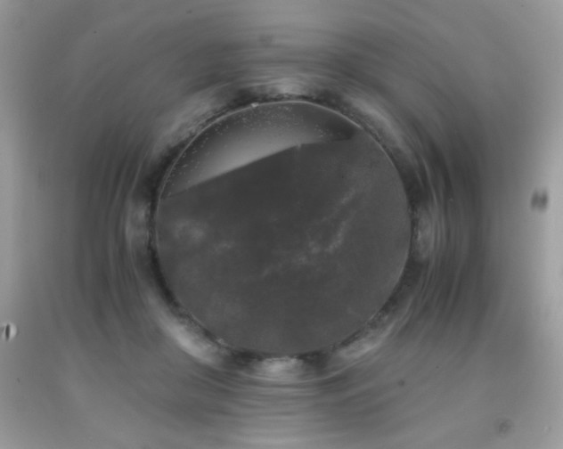 X0000092020410200709061557