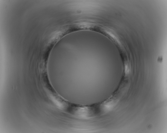 X0000092020411200709061557