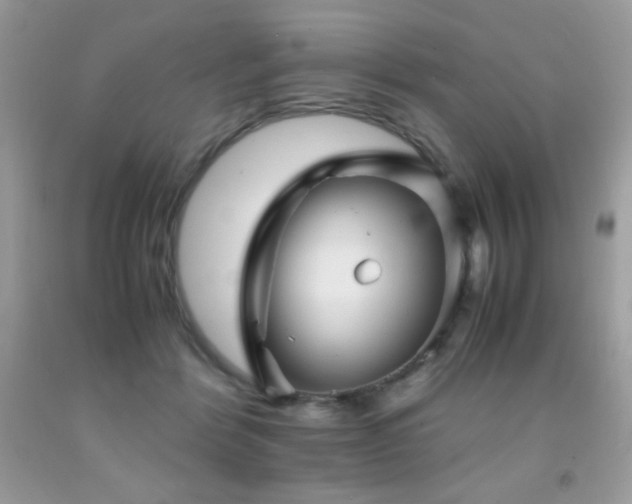 X0000092020412200709061557