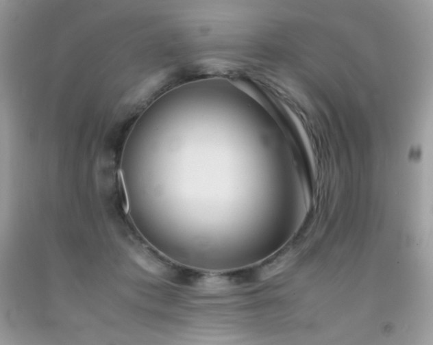 X0000092020413200709061557