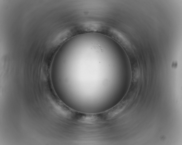 X0000092020414200709061557